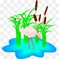 火烈鸟 剪影 博客-空若网 火烈鸟 剪影 博客-空若网