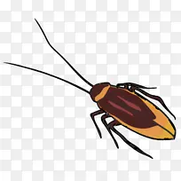 蟑螂 昆虫 薄膜-空若网 蟑螂 昆虫 薄膜-空若网