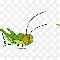 昆虫 蚱蜢 蟋蟀-空若网 昆虫 蚱蜢 蟋蟀-空若网