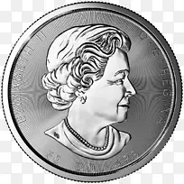 加拿大银枫叶 枫叶 加拿大金枫叶-空若网 加拿大银枫叶 枫叶 加拿大金枫叶-空若网