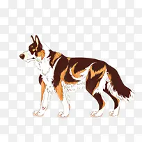 德国牧羊犬 边境牧羊犬 西伯利亚哈士奇犬-空若网 德国牧羊犬 边境牧羊犬 西伯利亚哈士奇犬-空若网