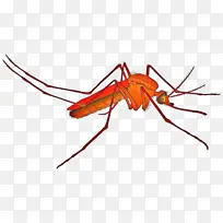 ���� ���� ��������-������