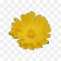 ���پ� ���� ��-������