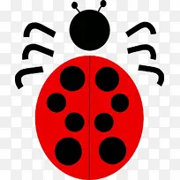 甲虫 瓢虫甲虫 绘画-空若网 甲虫 瓢虫甲虫 绘画-空若网