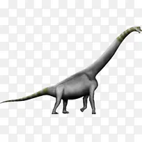 女孩 恐龙 尾巴-空若网 女孩 恐龙 尾巴-空若网