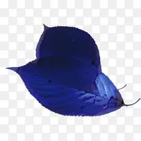 钴蓝 蓝色 帽子-空若网 钴蓝 蓝色 帽子-空若网