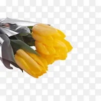 Óô½ðÏã »¨¶ä Ö²Îï-¿ÕÈôÍø Óô½ðÏã »¨¶ä Ö²Îï-¿ÕÈôÍø