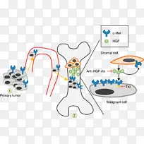 ǰÁÐÏÙ°© ×ªÒÆ °©Ö¢-¿ÕÈôÍø ǰÁÐÏÙ°© ×ªÒÆ °©Ö¢-¿ÕÈôÍø