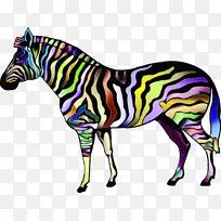 斑马 马 动物印花-空若网 斑马 马 动物印花-空若网