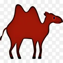 ���� ţ Ұ������-������