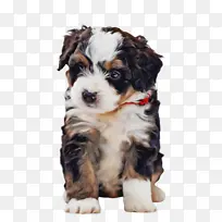 �ɰ��Ĺ� ���� ����-������