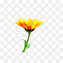 ���پ� ���� ����-������