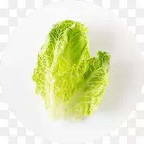 叶蔬菜食品生菜-空若网 叶蔬菜食品生菜-空若网