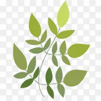 叶子 绿色 树枝-空若网 叶子 绿色 树枝-空若网