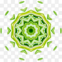 迷迭香 叶 薰衣草-空若网 迷迭香 叶 薰衣草-空若网