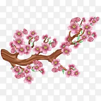 樱花 图画 花-空若网 樱花 图画 花-空若网