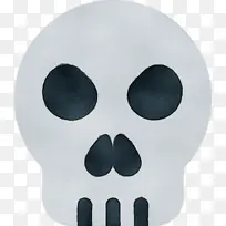 鼻子 头骨 下巴-空若网 鼻子 头骨 下巴-空若网