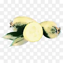 冬瓜 食品 甜瓜-空若网 冬瓜 食品 甜瓜-空若网