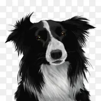 �߾�����Ȯ ������Ȯ С��-������