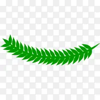 叶 观赏植物 动画-空若网 叶 观赏植物 动画-空若网