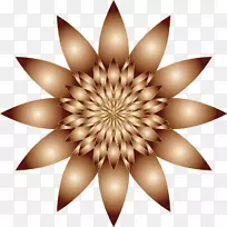 花卉桌面壁纸电脑图标剪贴画.花卉背景-空若网 花卉桌面壁纸电脑图标剪贴画.花卉背景-空若网