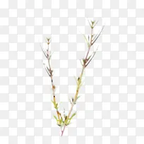 树枝 植物茎 叶-空若网 树枝 植物茎 叶-空若网