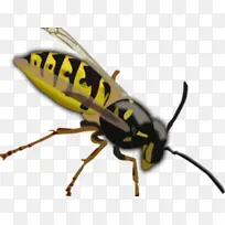 �۷� �Ʒ� ����-������