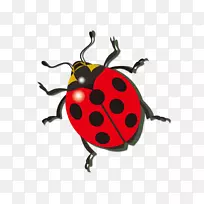 ư³æÍ¼±ê-¿ÕÈôÍø ư³æÍ¼±ê-¿ÕÈôÍø