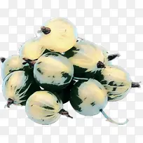 �߲� ˮ�� ֲ��-������