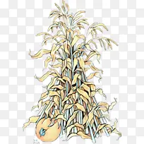 草 植物茎 线条-空若网 草 植物茎 线条-空若网