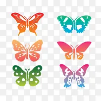 蝴蝶 飞蛾和蝴蝶 昆虫-空若网 蝴蝶 飞蛾和蝴蝶 昆虫-空若网