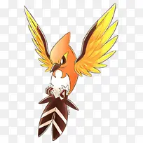 ���� ���� ��Ů-������