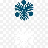 �����Ĵ�ѧë����ѧԺ �ﰺֲ��԰ ��ѧ-������