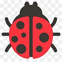 甲虫 瓢虫甲虫 瓢虫-空若网 甲虫 瓢虫甲虫 瓢虫-空若网