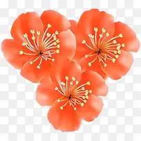 花瓣 花朵 樱花-空若网 花瓣 花朵 樱花-空若网