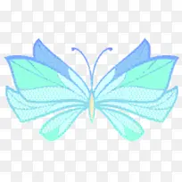 花瓣 对称 叶子-空若网 花瓣 对称 叶子-空若网