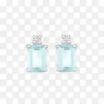 �ɹ���Ʒ���� ��׹ ��ʯ-������