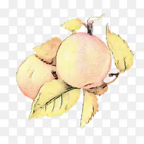 水果 黄色 植物-空若网 水果 黄色 植物-空若网