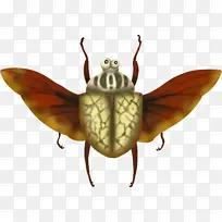 甲虫 绘画 昆虫-空若网 甲虫 绘画 昆虫-空若网