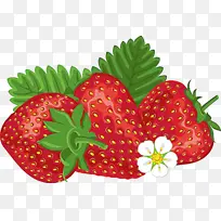 ��ݮ ʳƷ ����-������