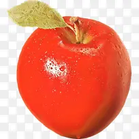 食品 辅助水果 超级食品-空若网 食品 辅助水果 超级食品-空若网