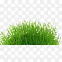 复活节-空若网 复活节-空若网