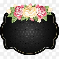 ֽ ��ֽ ����-������