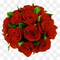 罗斯 生日-空若网 罗斯 生日-空若网