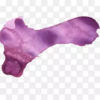 紫丁香水彩画-紫色-空若网 紫丁香水彩画-紫色-空若网