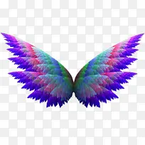 蝴蝶 翅膀 视频-空若网 蝴蝶 翅膀 视频-空若网