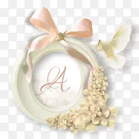 字母表 拉丁字母表 婚礼-空若网 字母表 拉丁字母表 婚礼-空若网