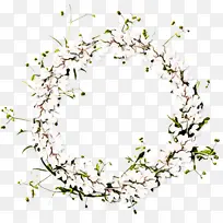 切花 花卉设计 花-空若网 切花 花卉设计 花-空若网