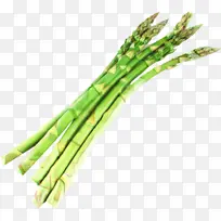 «�� ����«���� ��ʳ-������