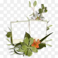 ���� ¼�� ��Ĭ-������